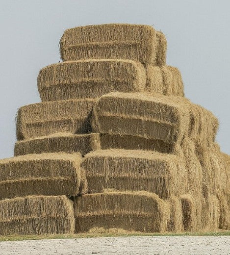 Hay Bale